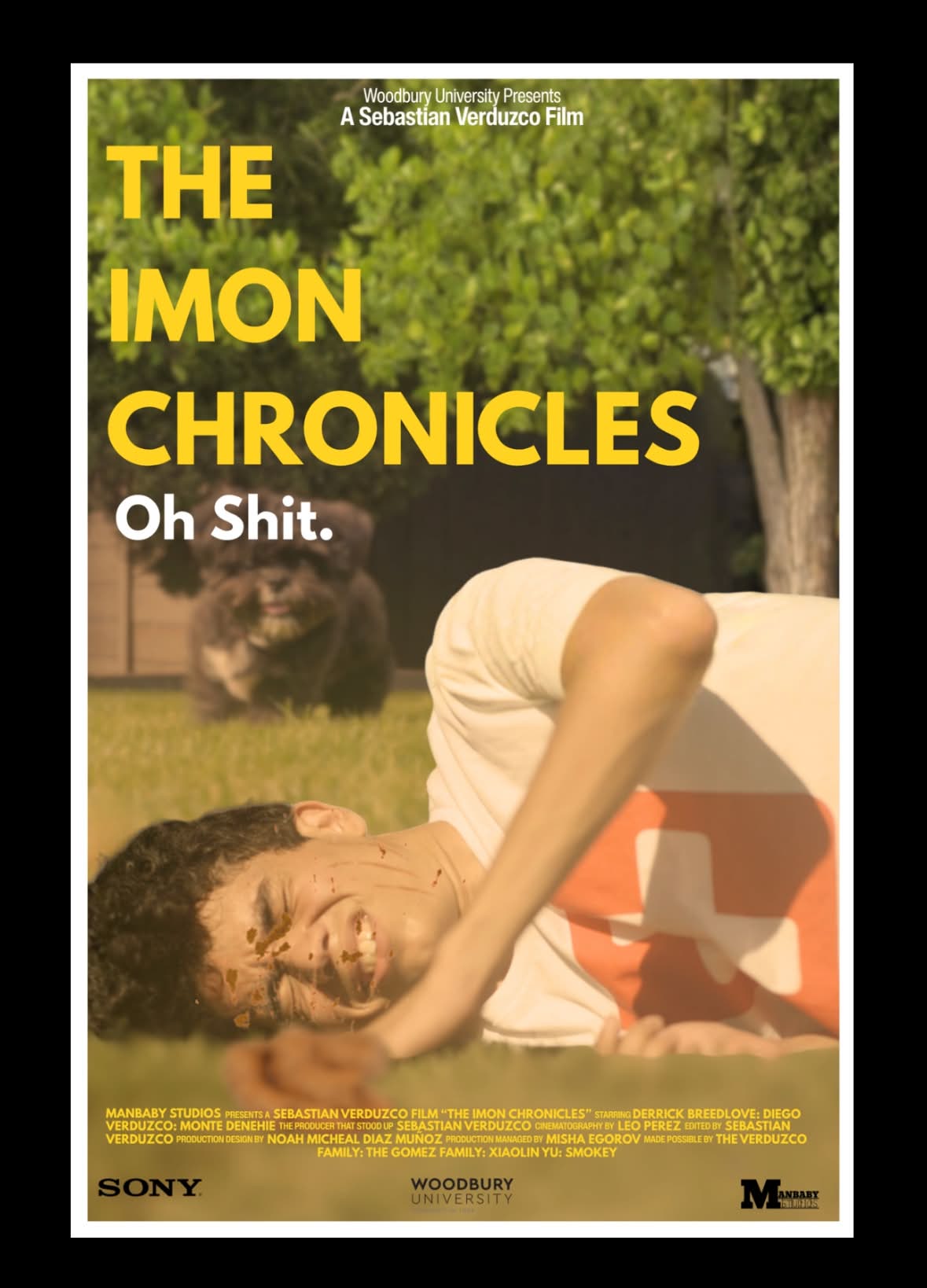 The Imon Chronicles poster